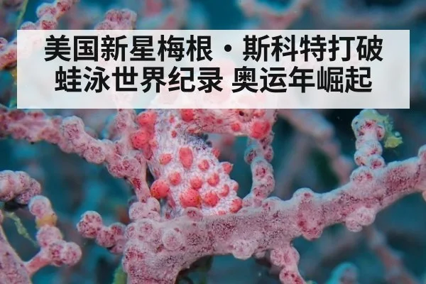美国新星梅根·斯科特打破蛙泳世界纪录 奥运年崛起