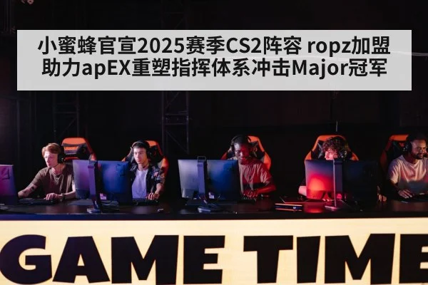 小蜜蜂官宣2025赛季CS2阵容 ropz加盟助力apEX重塑指挥体系冲击Major冠军