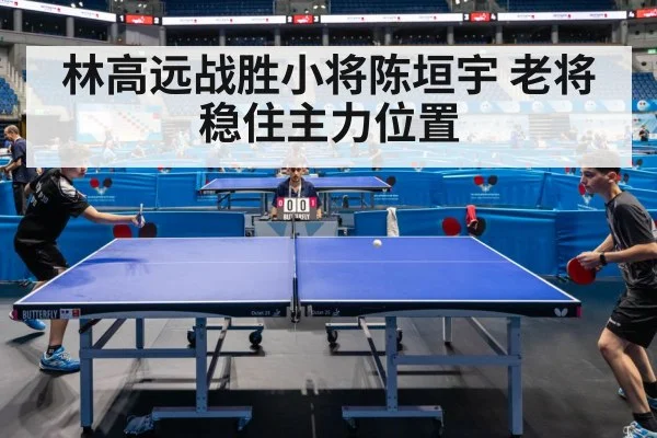 林高远战胜小将陈垣宇 老将稳住主力位置